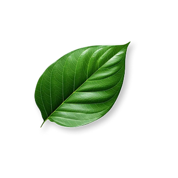 Why This Temple Matters?