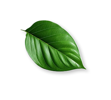 Why This Temple Matters?