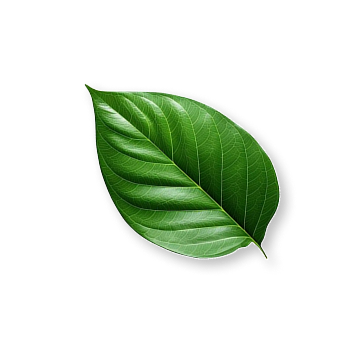 Why This Temple Matters?