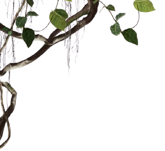 Join ISKCON Wavecity's Food for Life initiative and help feed the hungry with freshly prepared