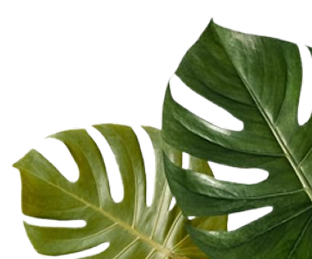 Join ISKCON Wavecity's Food for Life initiative and help feed the hungry with freshly prepared