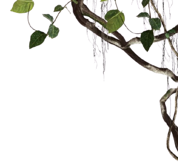 Join ISKCON Wavecity's Food for Life initiative and help feed the hungry with freshly prepared