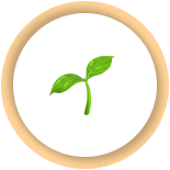 A Hub for Spiritual Growth