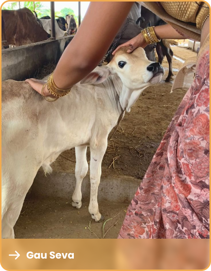 Gau Seva
